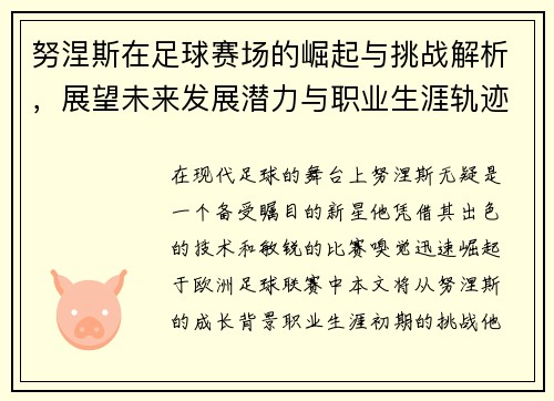 努涅斯在足球赛场的崛起与挑战解析，展望未来发展潜力与职业生涯轨迹