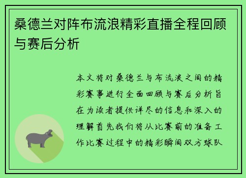 桑德兰对阵布流浪精彩直播全程回顾与赛后分析