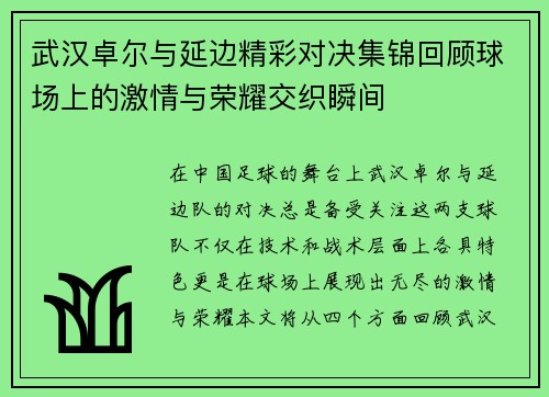 武汉卓尔与延边精彩对决集锦回顾球场上的激情与荣耀交织瞬间