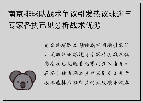 南京排球队战术争议引发热议球迷与专家各执己见分析战术优劣
