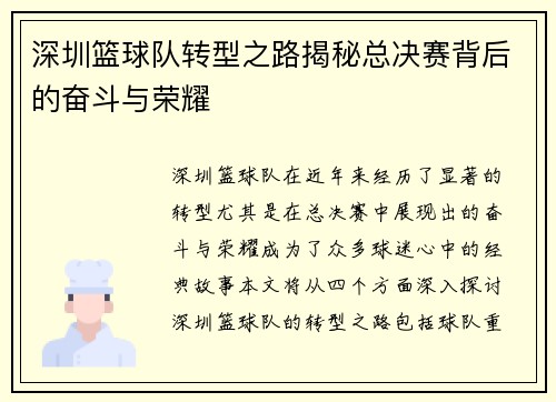 深圳篮球队转型之路揭秘总决赛背后的奋斗与荣耀